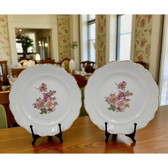2 Schumann Arzberg Briar Rose Salad Plates Bavaria Germany Gold Trim 1950s - Picture 1 of 9